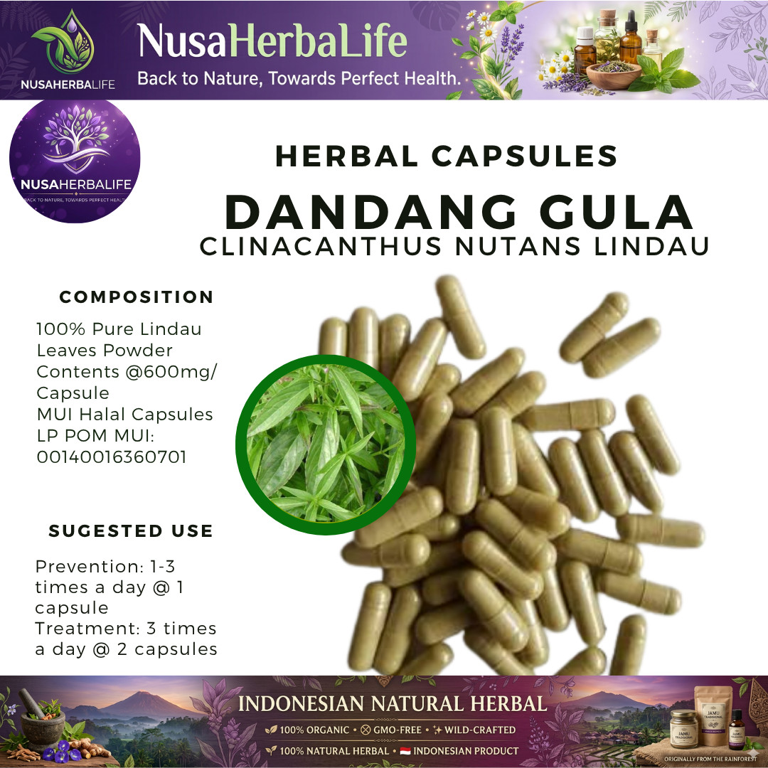 Pure 100 Capsules Sabah Snake Clinacanthus Nutans Organic Natural Wildcrafted