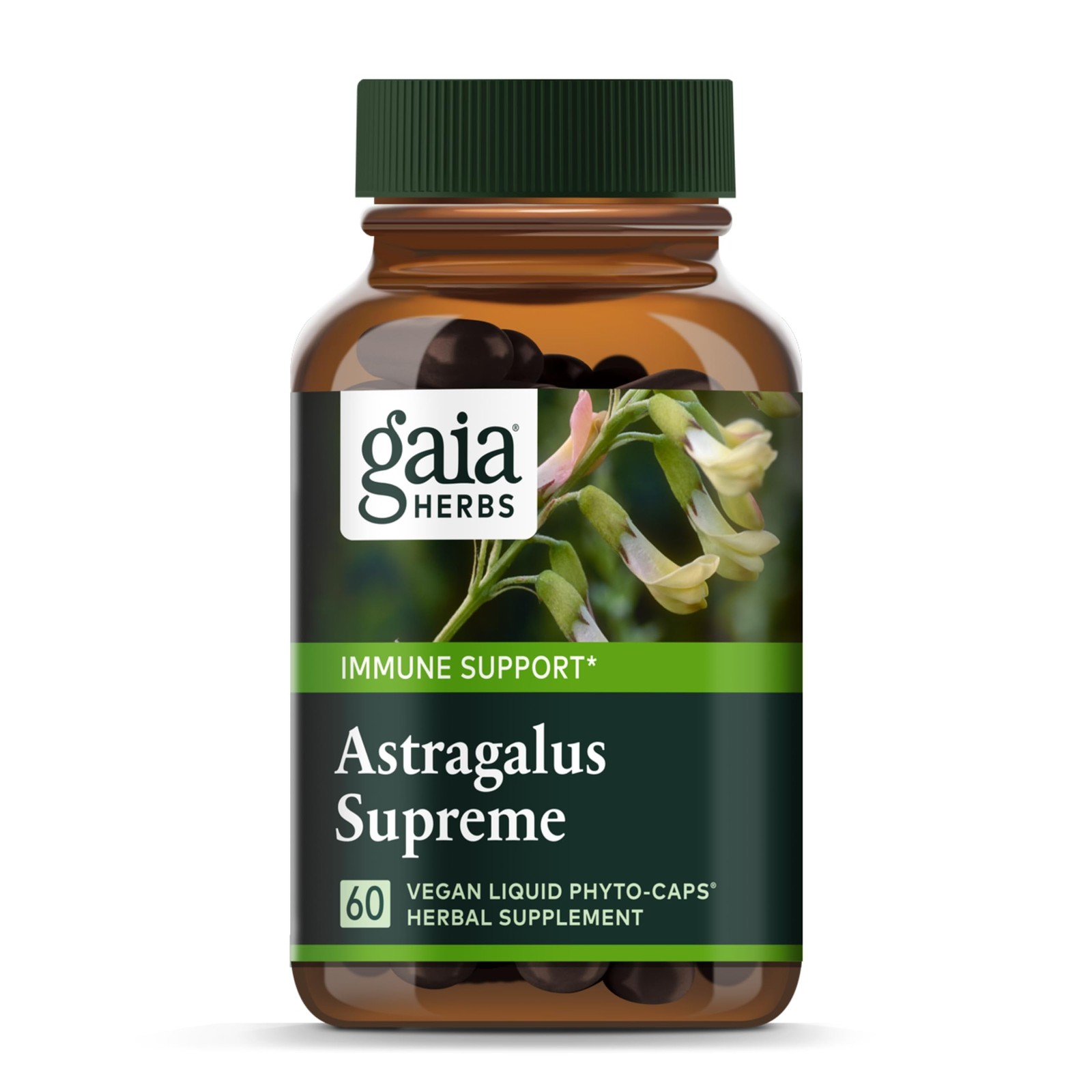 Gaia Herbs Astragalus Supreme – Immune and Antioxidant Support Herbal Supplem…