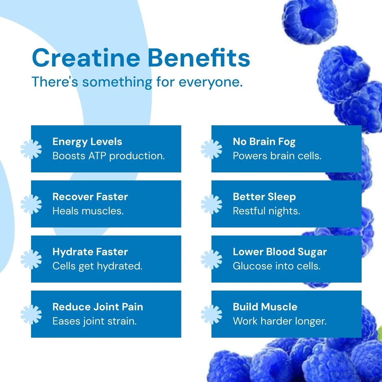 Create Creatine Monohydrate Gummies for Men & Women, Boost Focus – 90 Gummies
