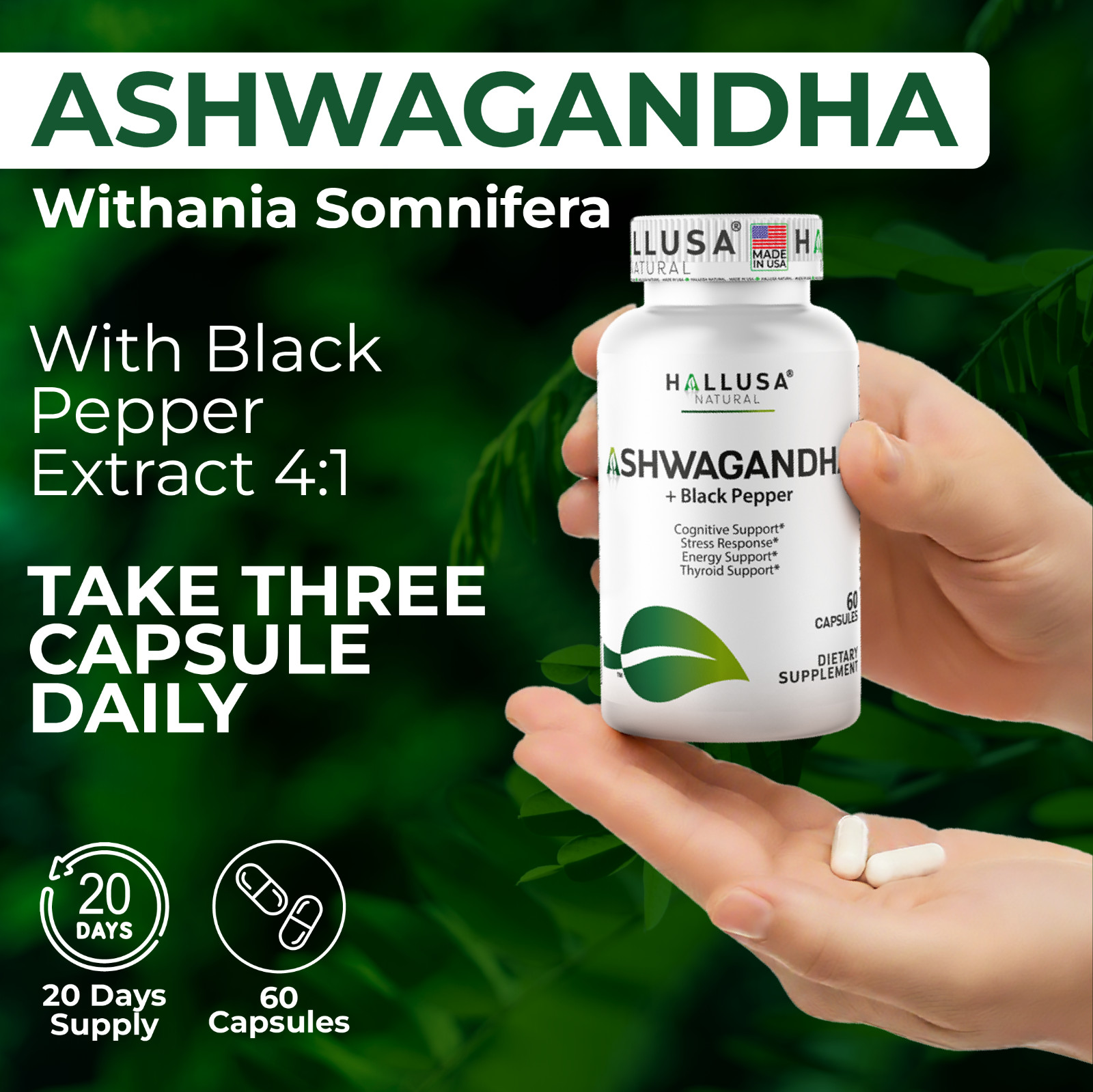 Organic Ashwangandha Root Extract with Black Pepper – Natural Supplement 60 CAP