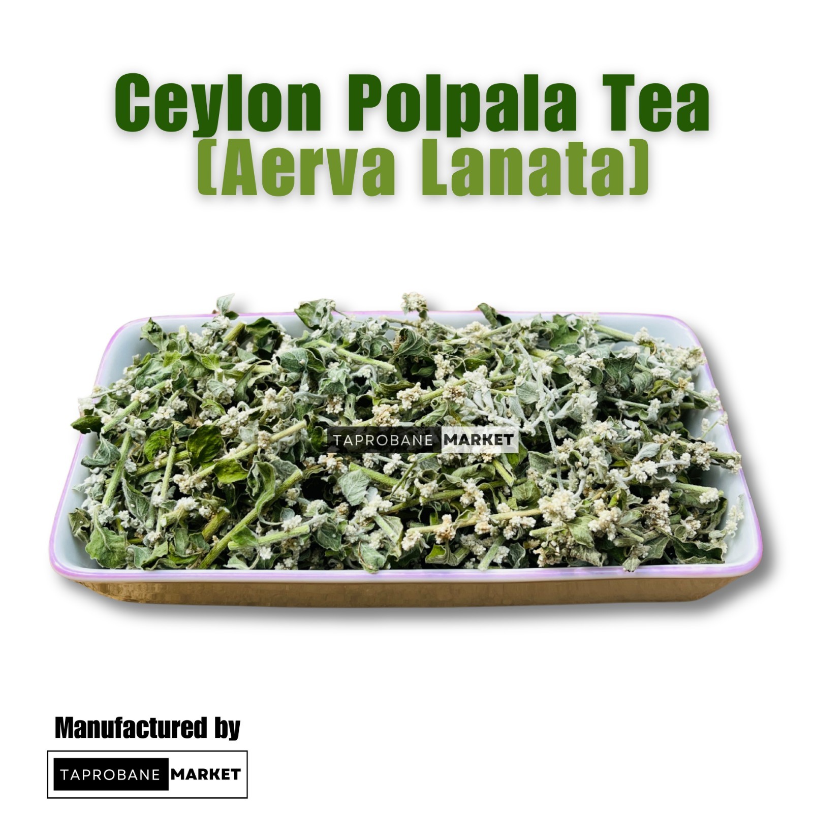 Aerva Lanata (Polpala) 100g+ | Kidney Stone Remedy | Pashanabheda Herb
