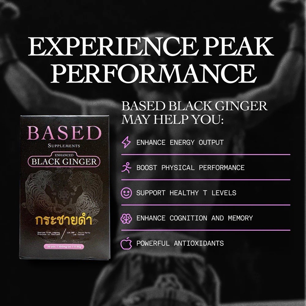 BASED Supplements Black Ginger MDF 11% – 30 capsules – 300mg per capsule