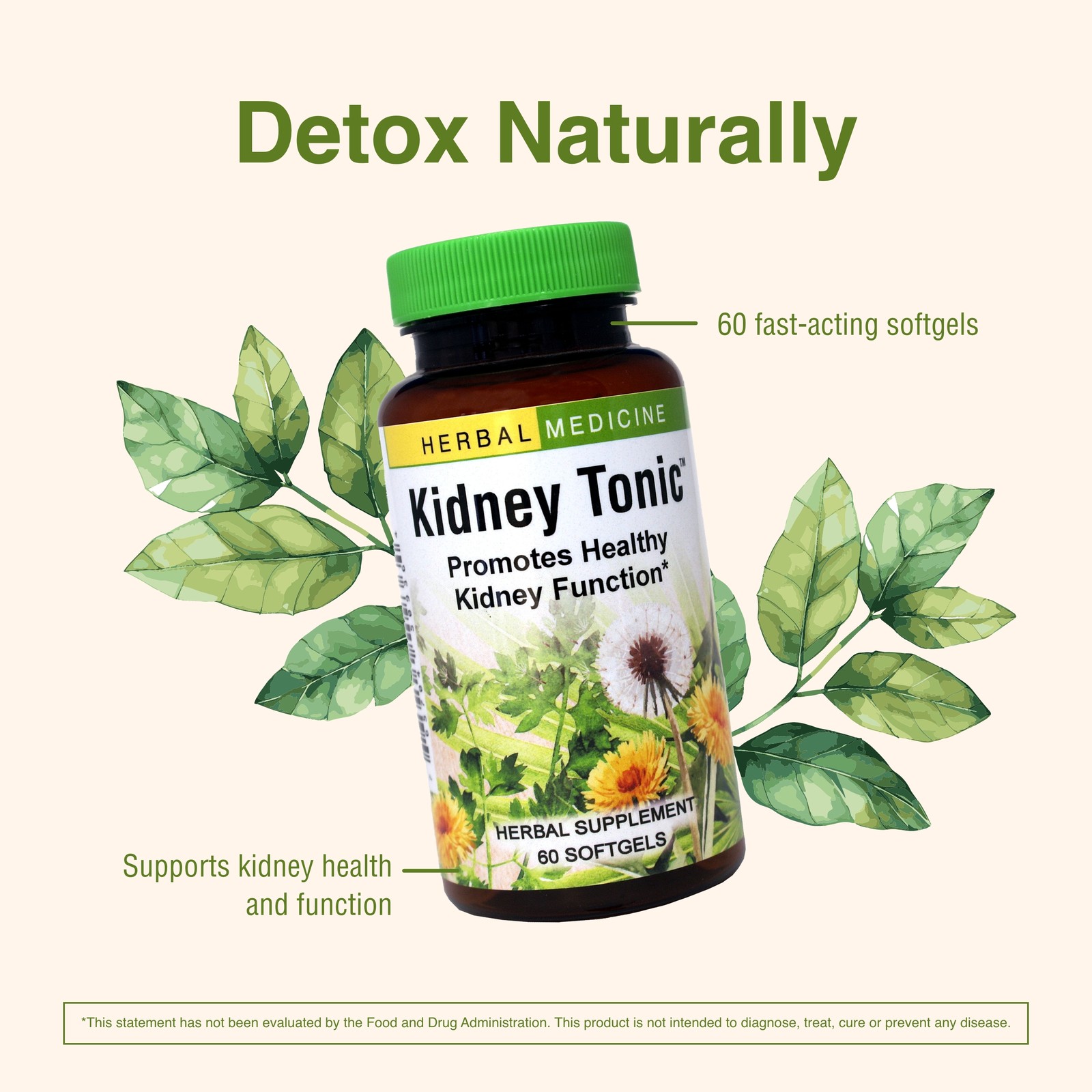 Kidney Tonic Herbs Etc. 60 count Softgel
