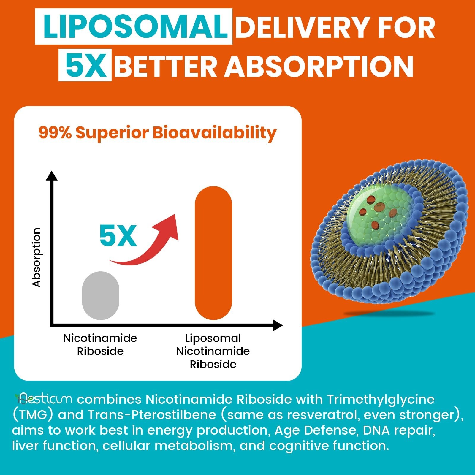 2000 MG Liposomal Nicotinamide Riboside Supplement, High 60 Count (Pack of 2)