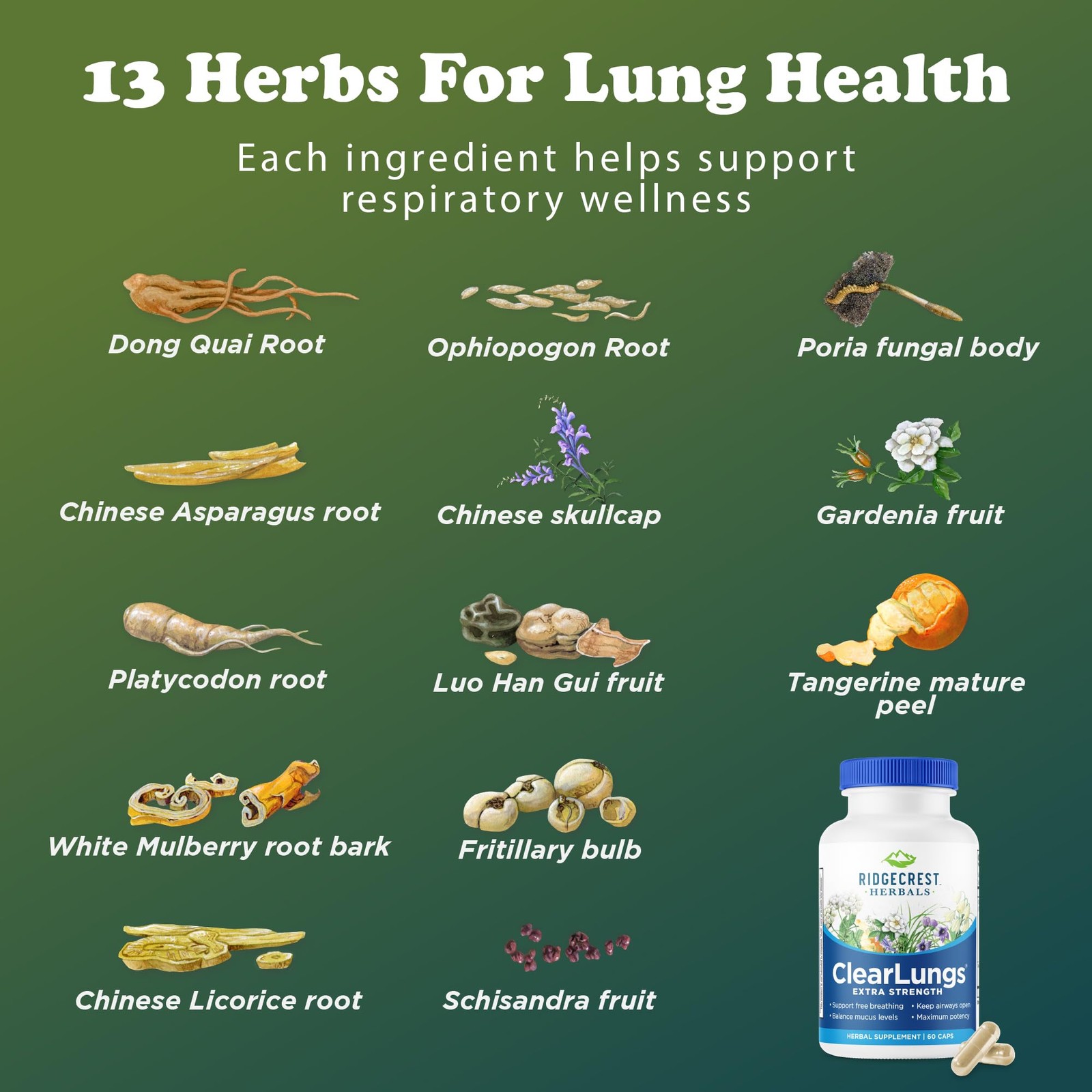 RidgeCrest Herbals ClearLungs Extra Strength, Daily 1 count (Pack of 60)