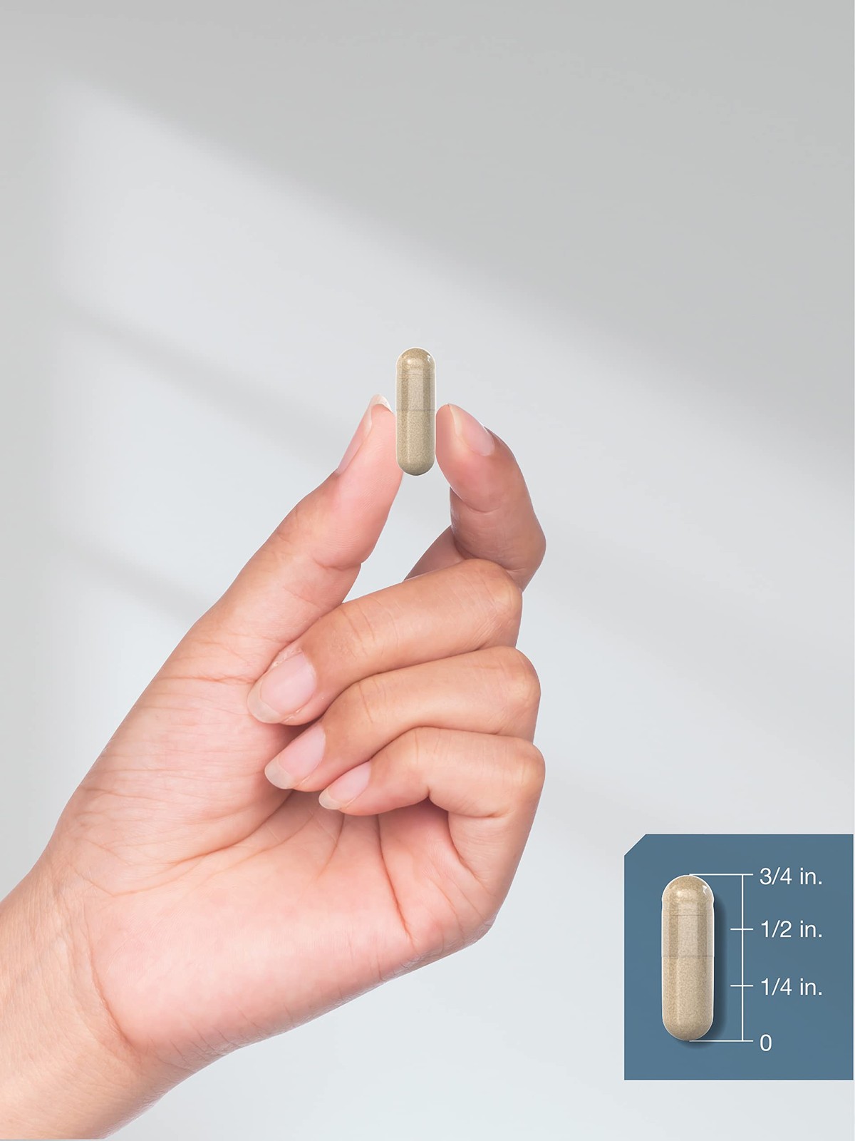Horbäach Raw Adrenal Glandular | 350 mg | 90 Capsules