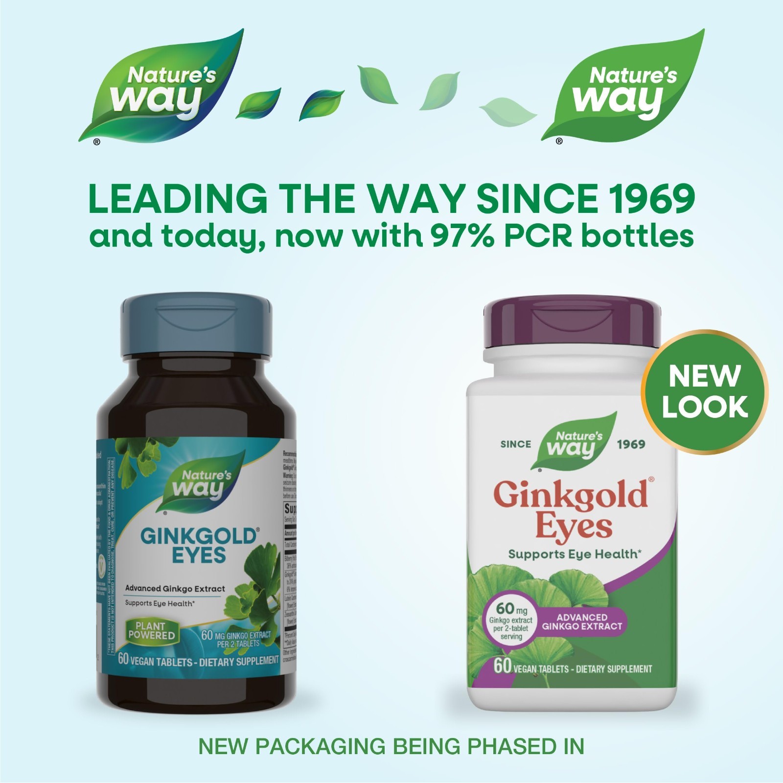 Ginkgo Biloba Eye Health Supplements – 60mg, Gluten-Free, 60 Tablets, Supports V