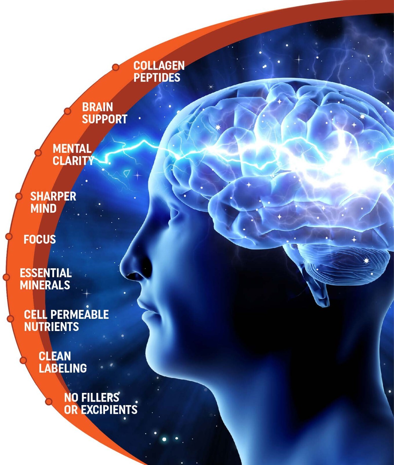 Jellyfish Collagen Rich in Calcium Binding Protein. Brain & Memory Support