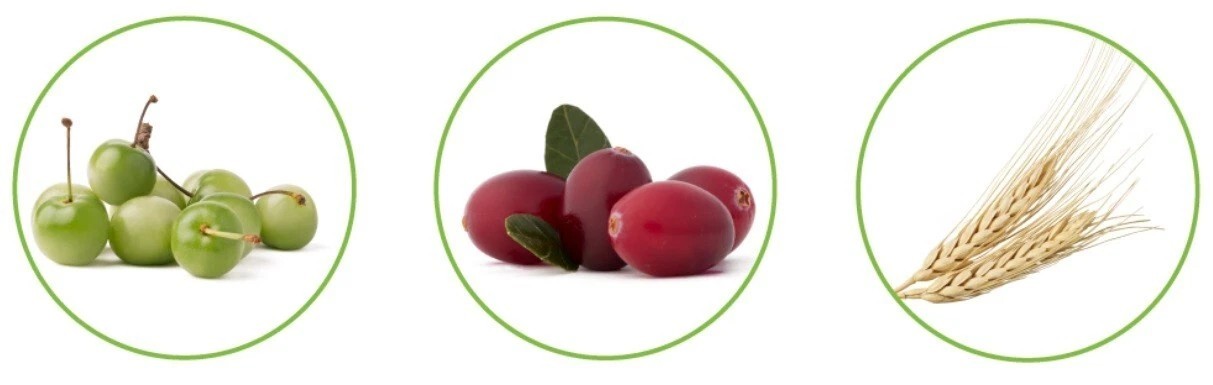 30 Sachets Truvivity TruMist Contributes to the Formation of Collagen + Tracking