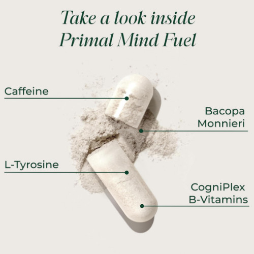 Primal Mind Fuel – Refuerzo cerebral para el enfoque, la energía, la memoria