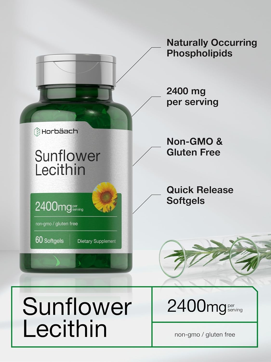 Sunflower Lecithin Softgel Capsules 2400mg 60 Pills Non-GMO Supplement