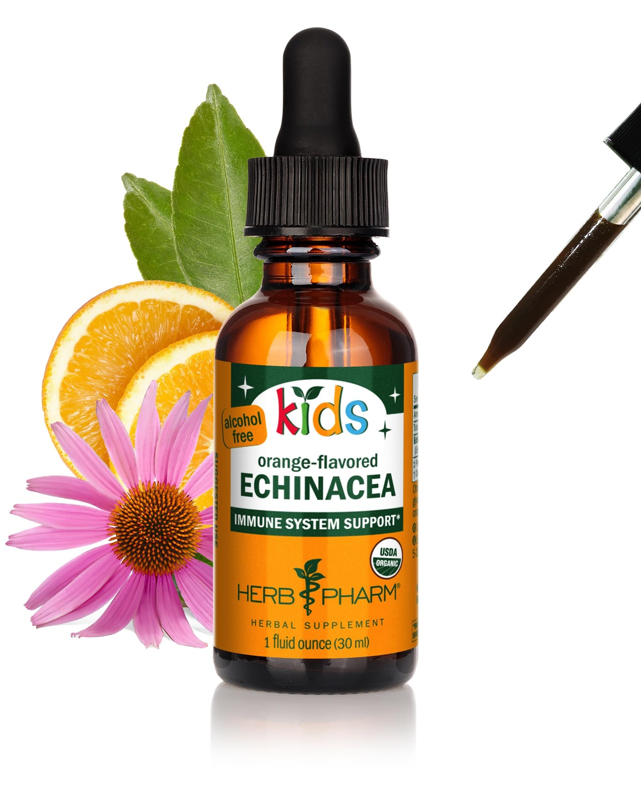 Herb Pharm Kids Echinacea Extract Alcohol-Free 1 Fl Oz (Pack of 1), No Color