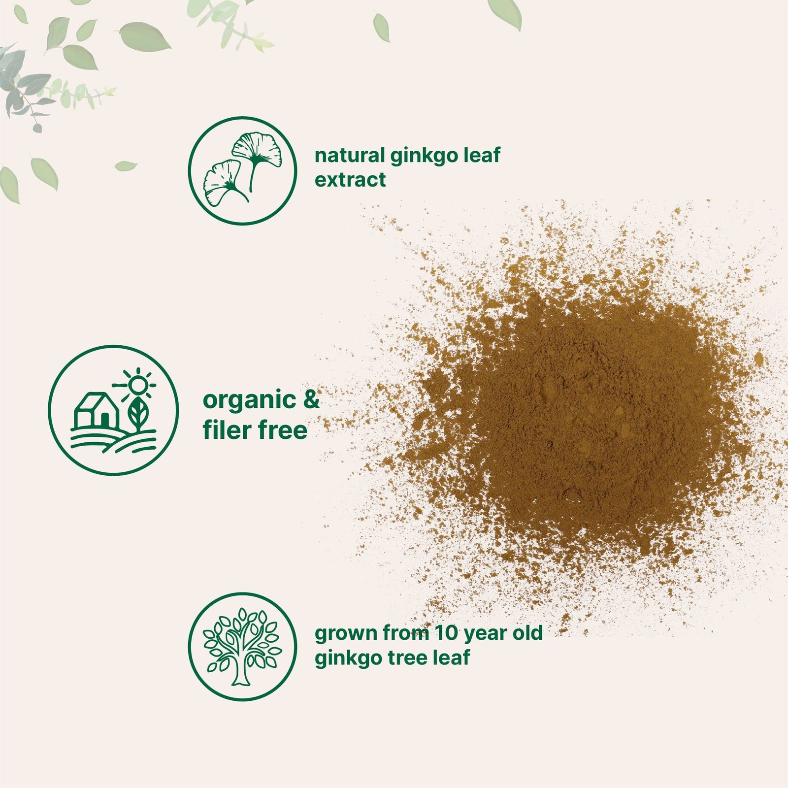 Organic Ginkgo Biloba Extract Powder, 8oz | Naturally Occurring Ginkgo Flavon…