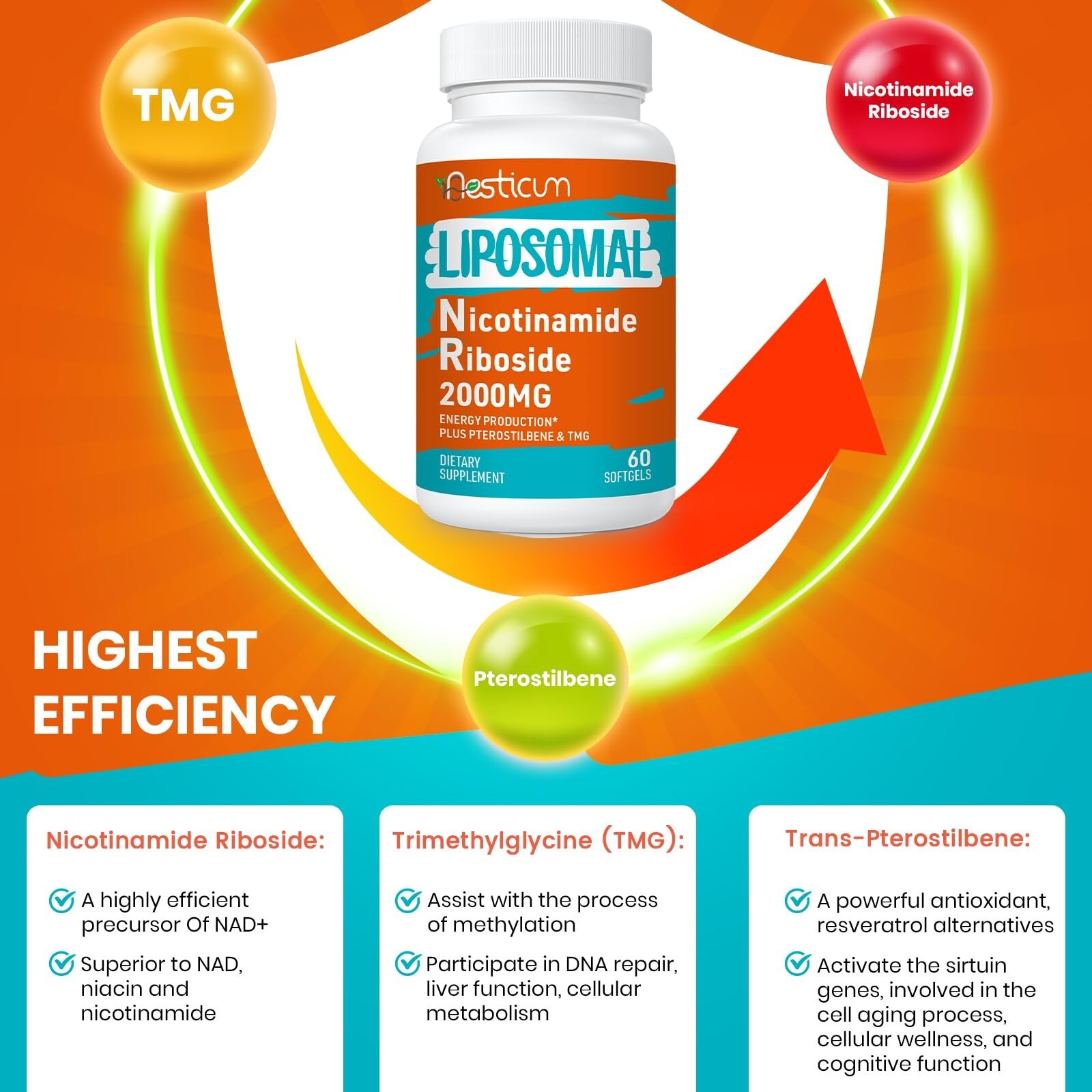 2000 MG Liposomal Nicotinamide Riboside Supplement, High 60 Count (Pack of 2)
