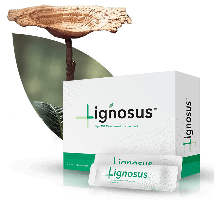 Lignosus Natural Lung Health Support 30 Sachets – ONE PACK = 30 SACHETS (SEALED)