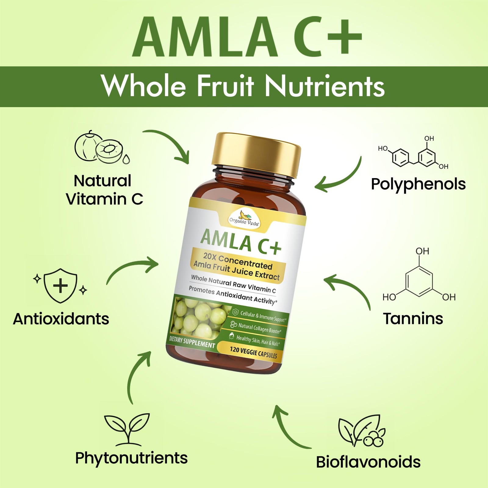 Organic Veda Amla Capsules 20 X Concentrated Amla Fruit Juice Extract Natural