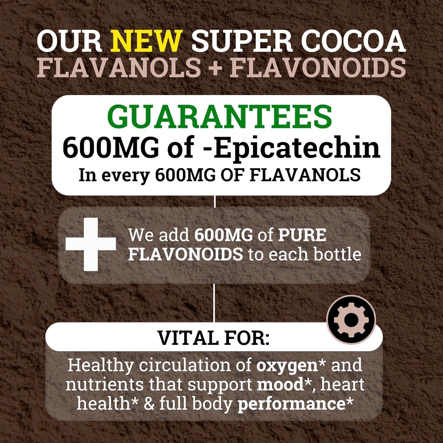4 PACK! Black Forest High Flavanol Cocoa Powder and Flavonoid Supplements 1200mg