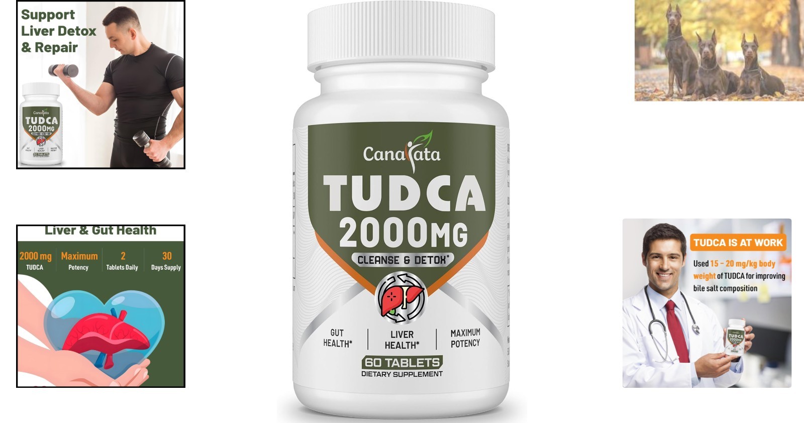 TUDCA Liver Supplements 2000mg – Effective Detox & Gallbladder Support Tablets