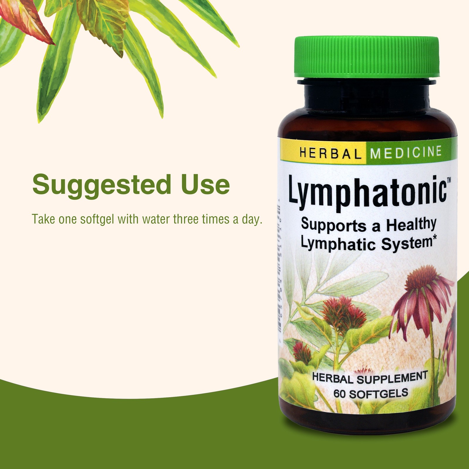 Herbs Etc. Lymphatonic: 60-Count Softgels