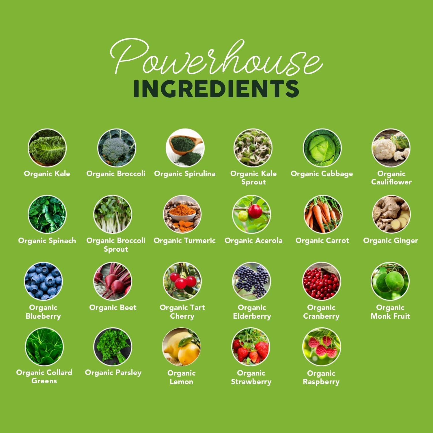 Paleovalley Organic Supergreens – Organic Greens Powder Superfood for Immune …