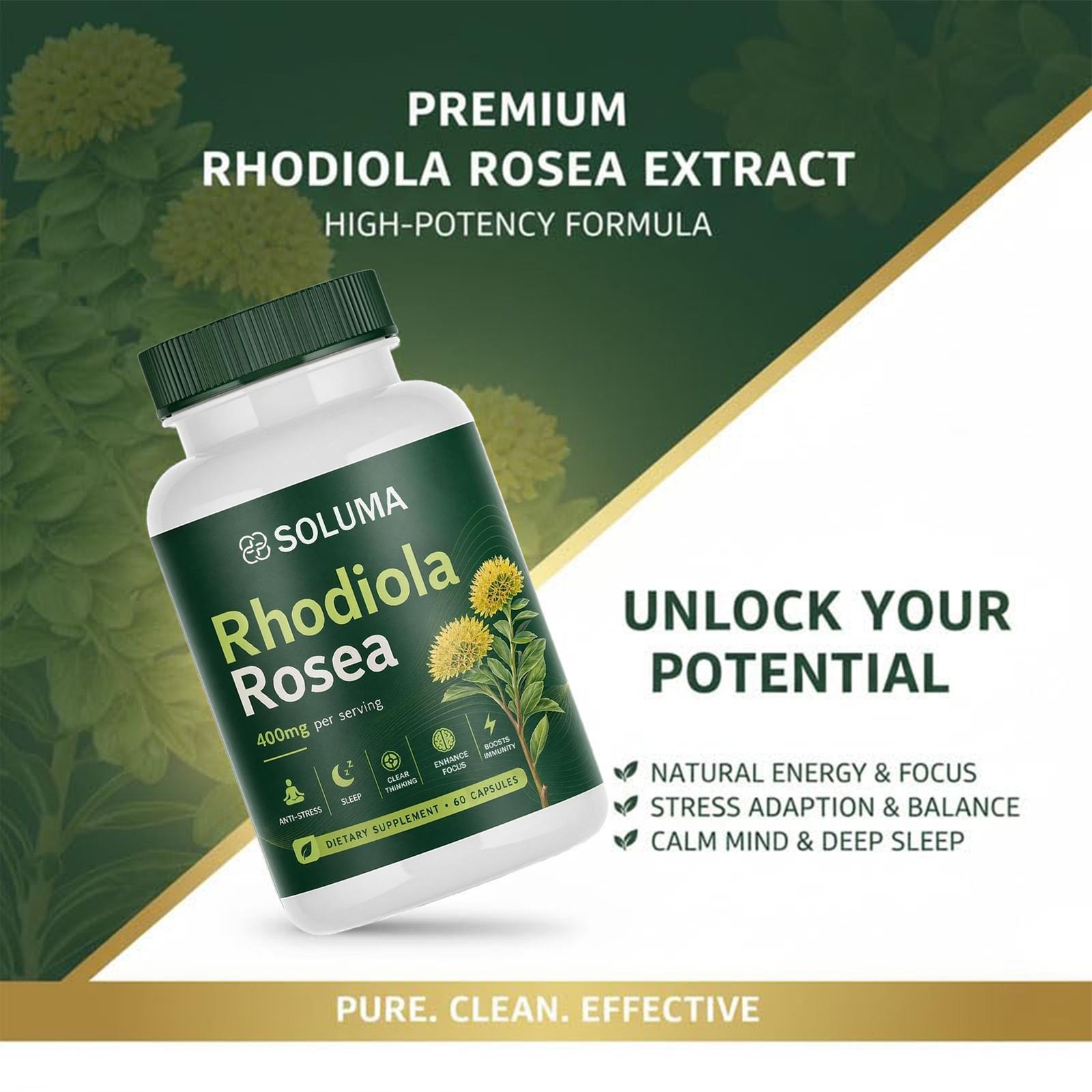 Rhodiola Rosea, 400mg Per Serving featuring Bioperine, Organic Natural