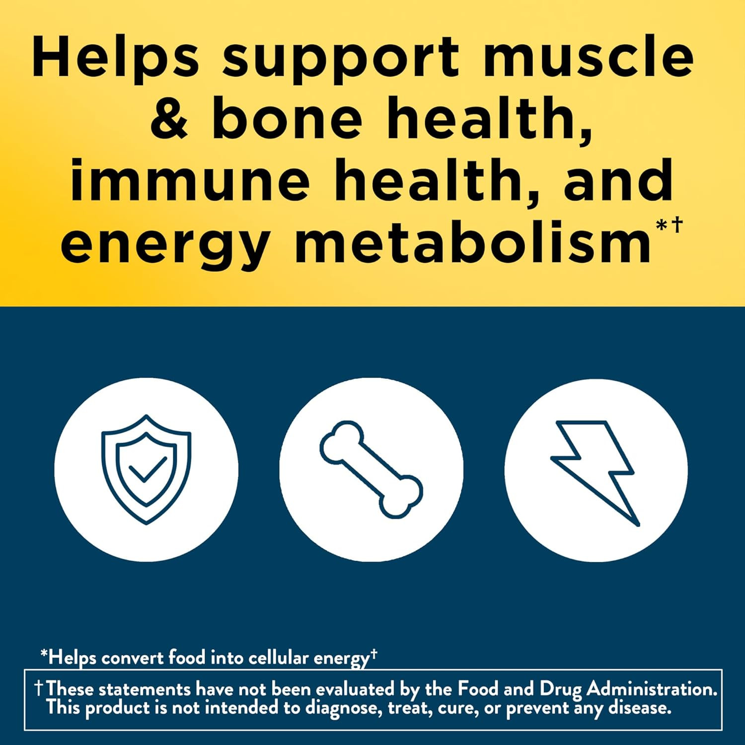Nature Made Multivitamin for Him 50+, Mens Multivitamins for Daily Nutritional S