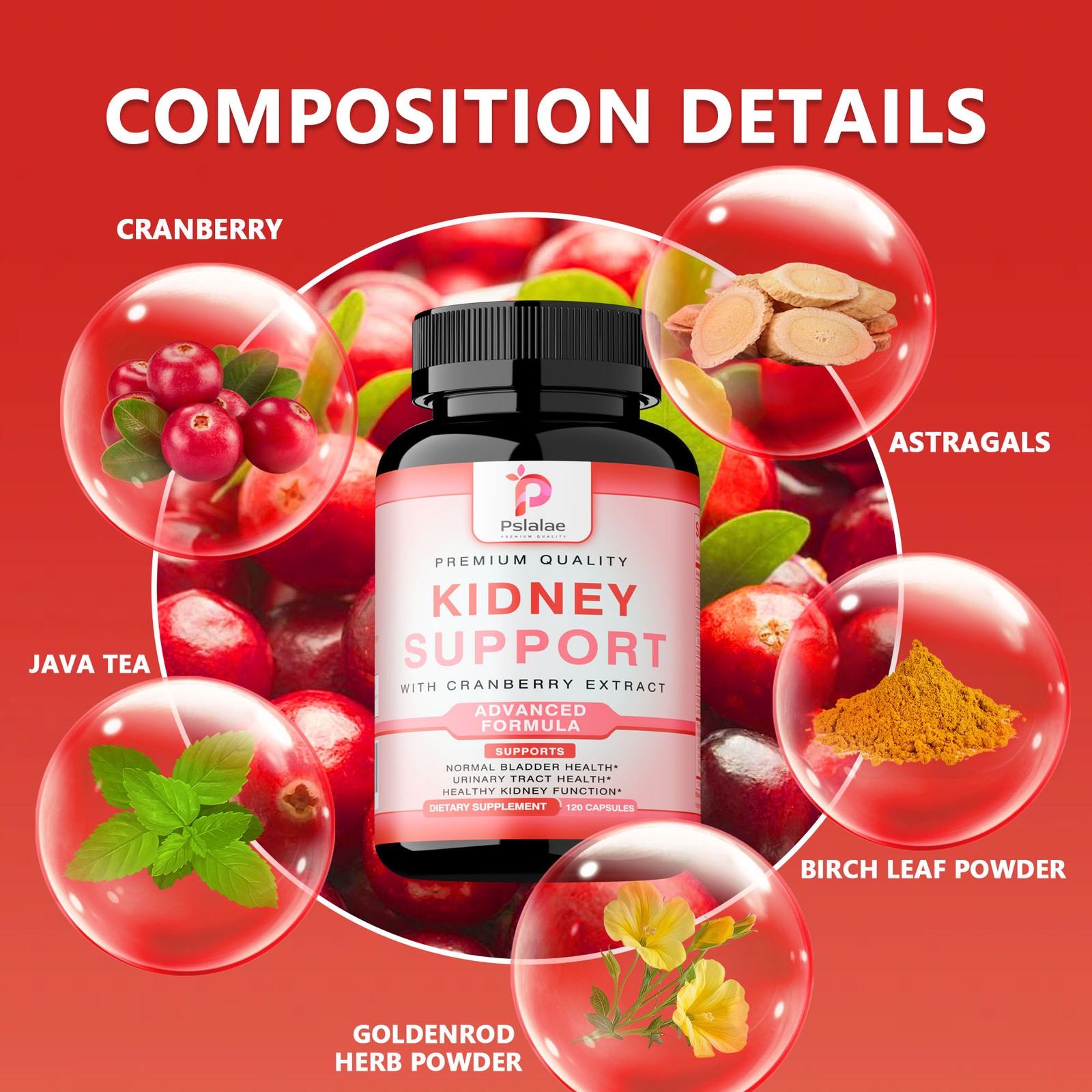 Kidney Support – Bladder Health,Urinary Tract Health,and Healthy Kidney Function