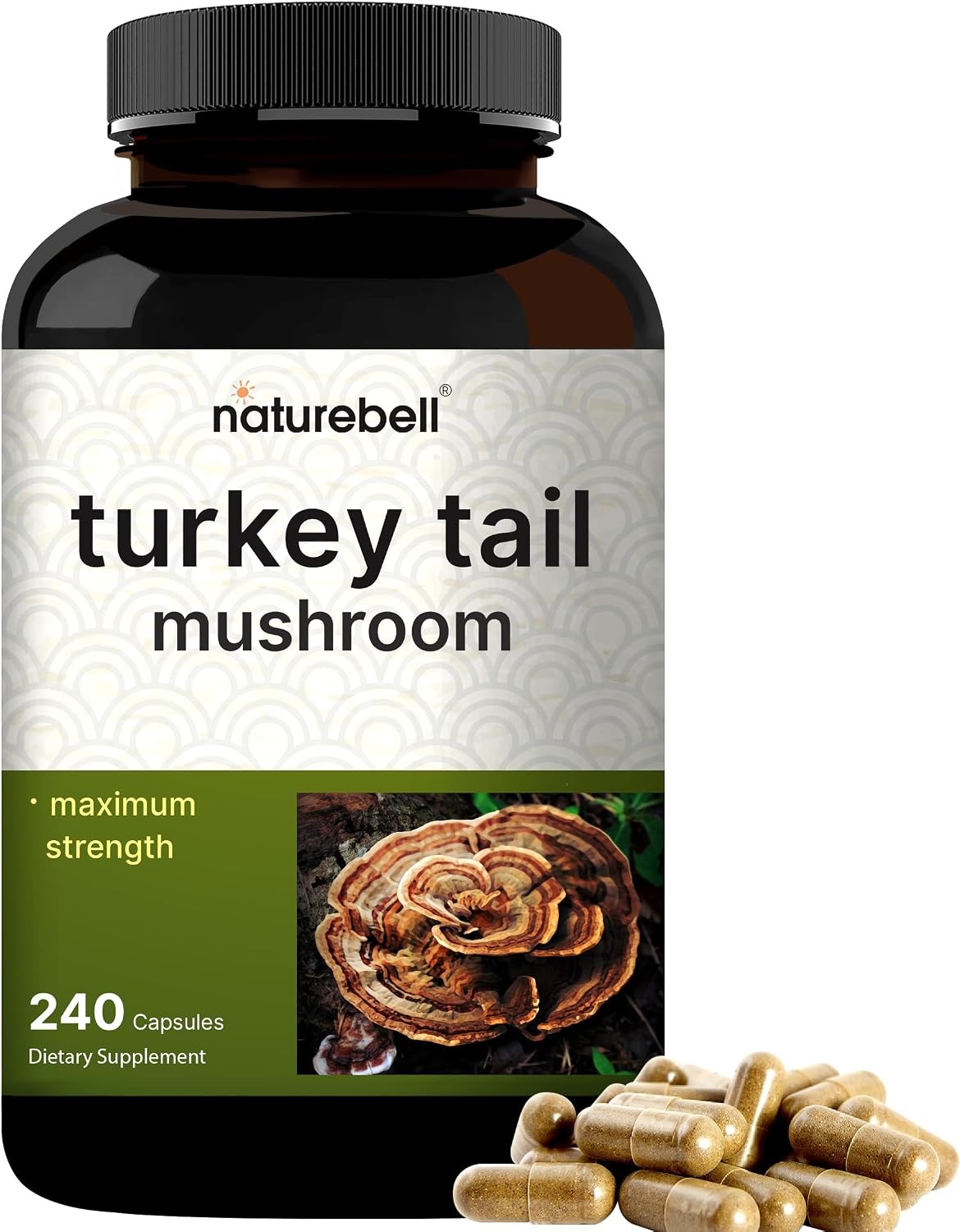 Turkey Tail Mushroom Extract Capsules- Hongo Cola de Pavo 600mg 240 Count