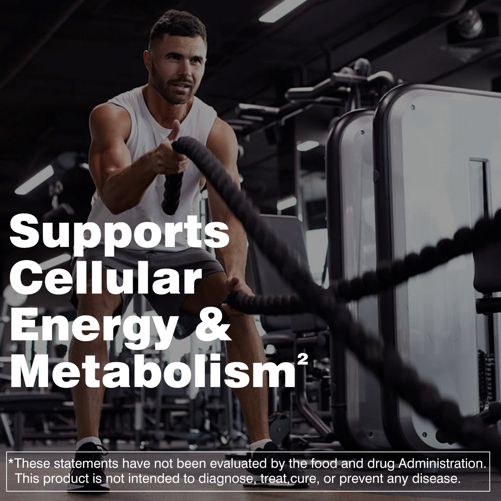 Men’s Multivitamin -Heart Health,Support Men’s Prostate and Urinary Tract Health