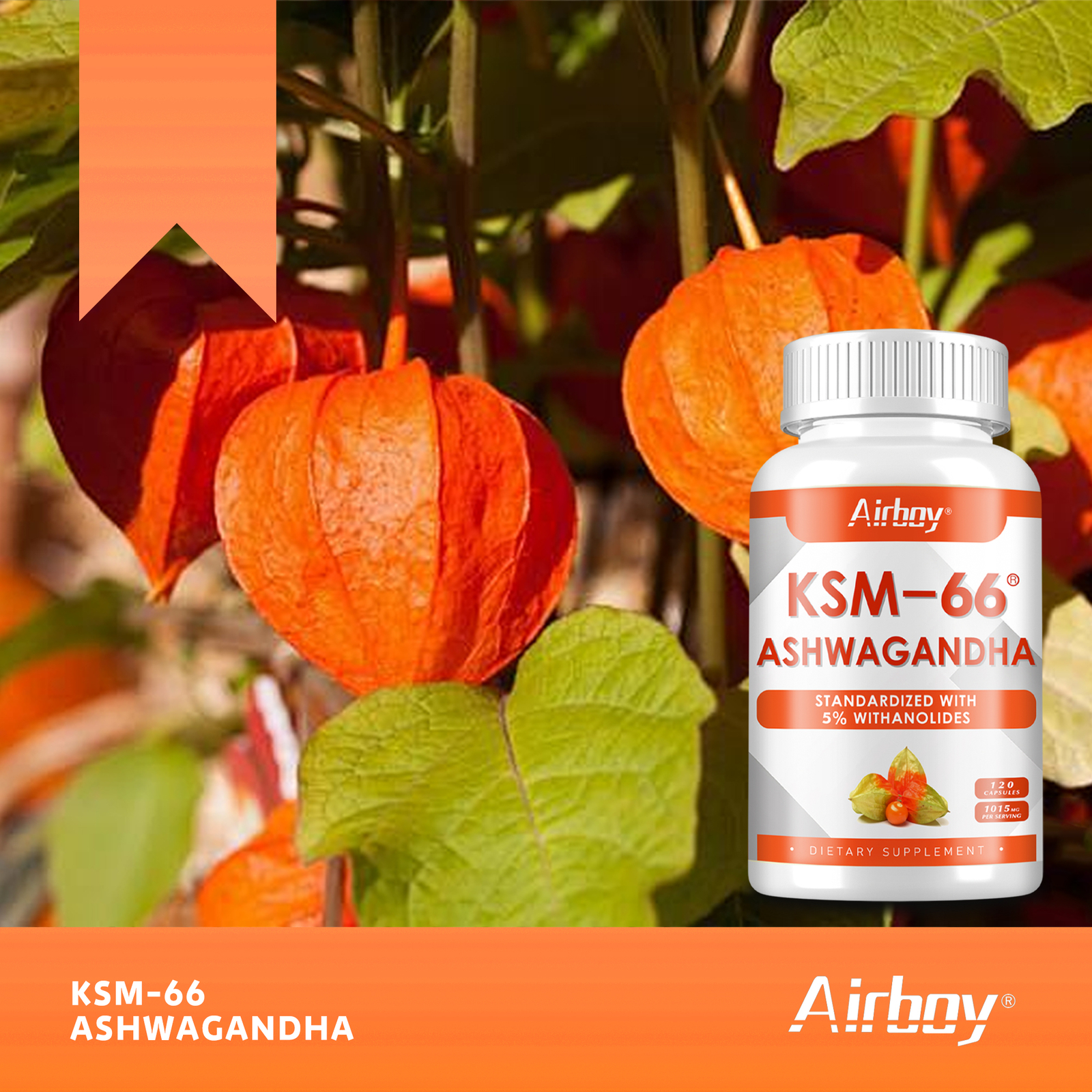 Ashwagandha – Support Energy Boost, Emotional Support, Stress & Anxiety Relief