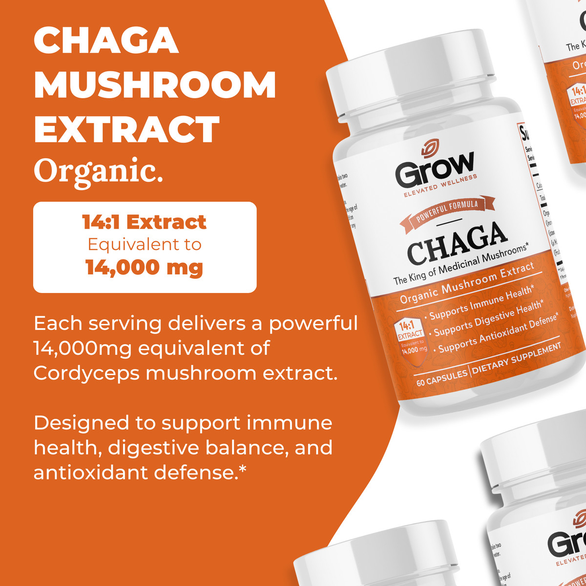 Chaga Mushrooms Capsules 14,000mg – Mushroom Extract Antioxidants Supplement
