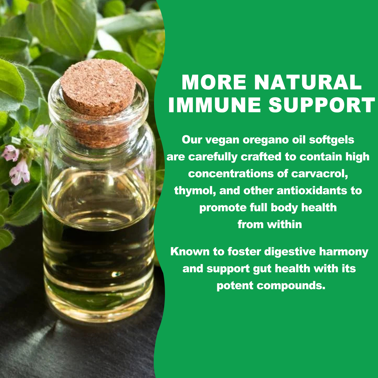 Oil of Oregano Capsules – Immune & Digestive Suppor Supplements, NON GMO