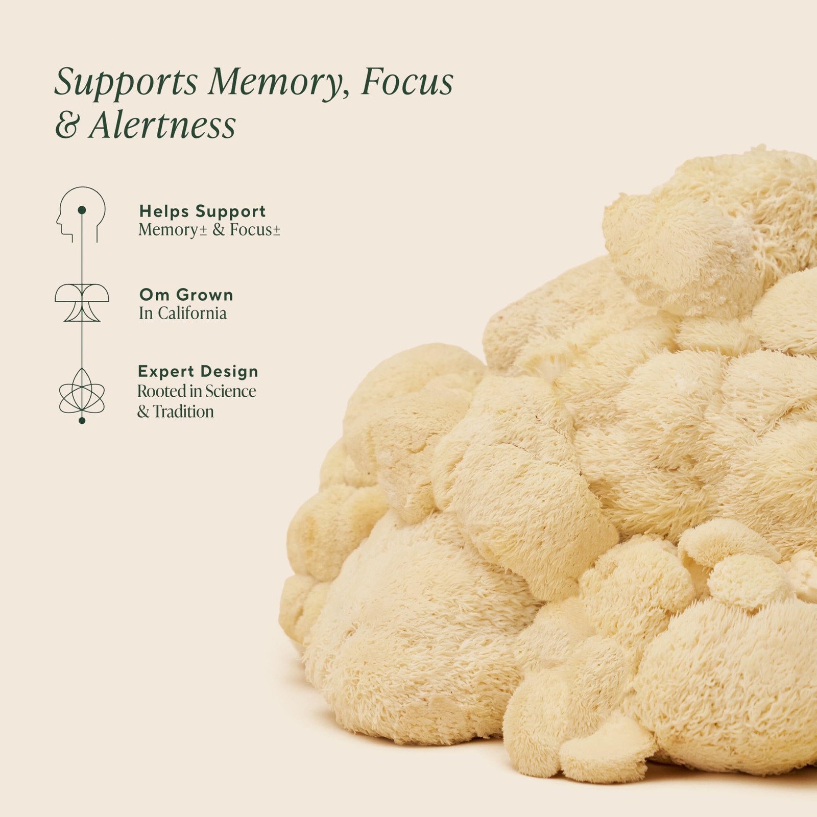 8/27 Om Lion’s Mane Mushroom Powder – Organic Mushroom Supplement and Nootropic