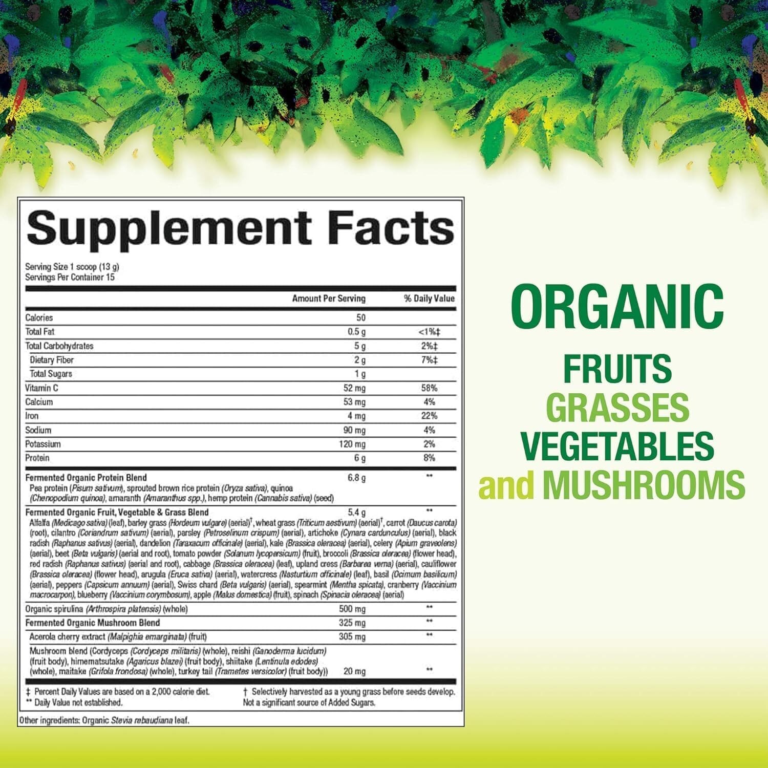 Whole Food Supplement: Whole Earth & Sea Organic Fermented Greens 6.9 Oz