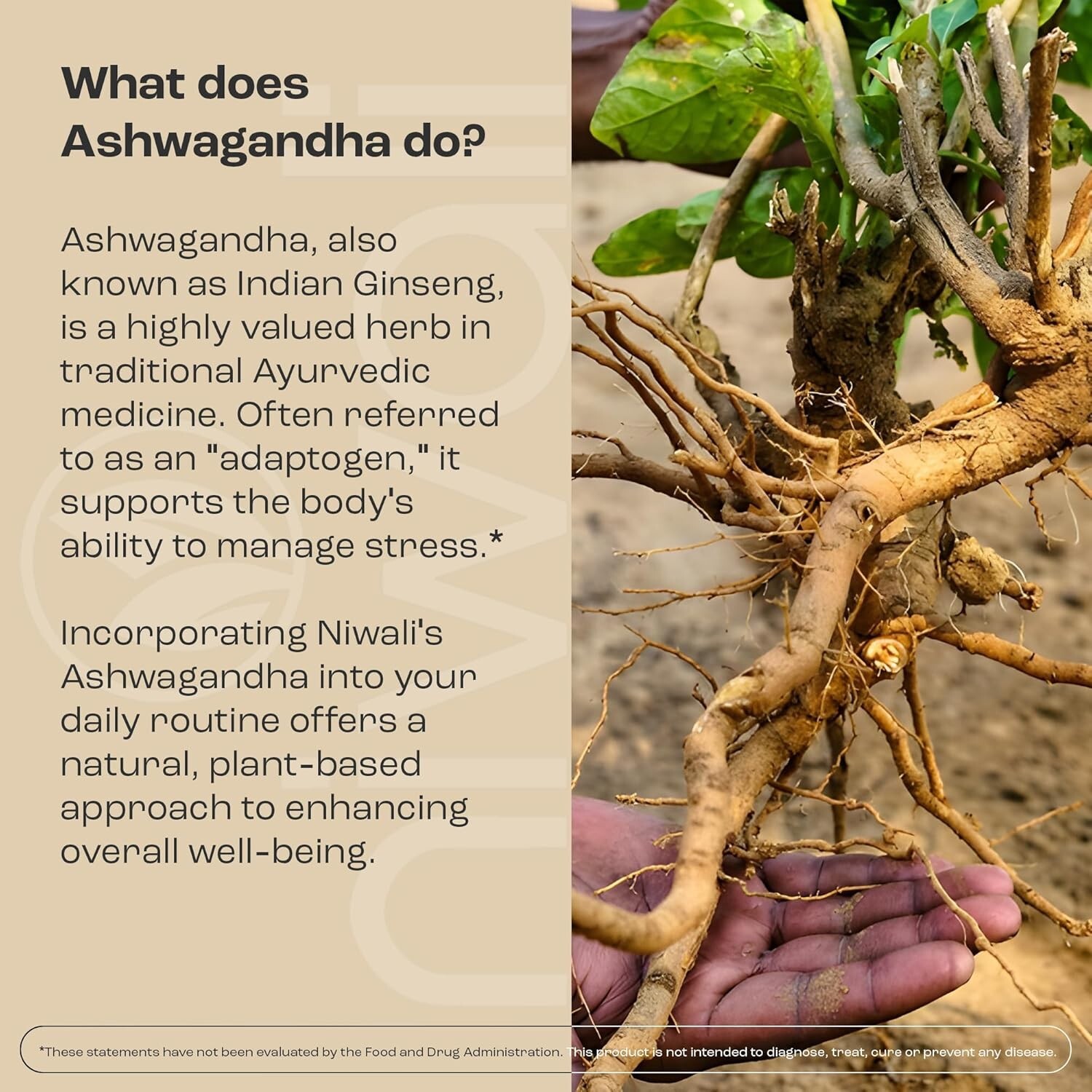 Niwali Ashwagandha Extra Strength 60 Veggie Capsules – Immune, Mood & Stress Sup