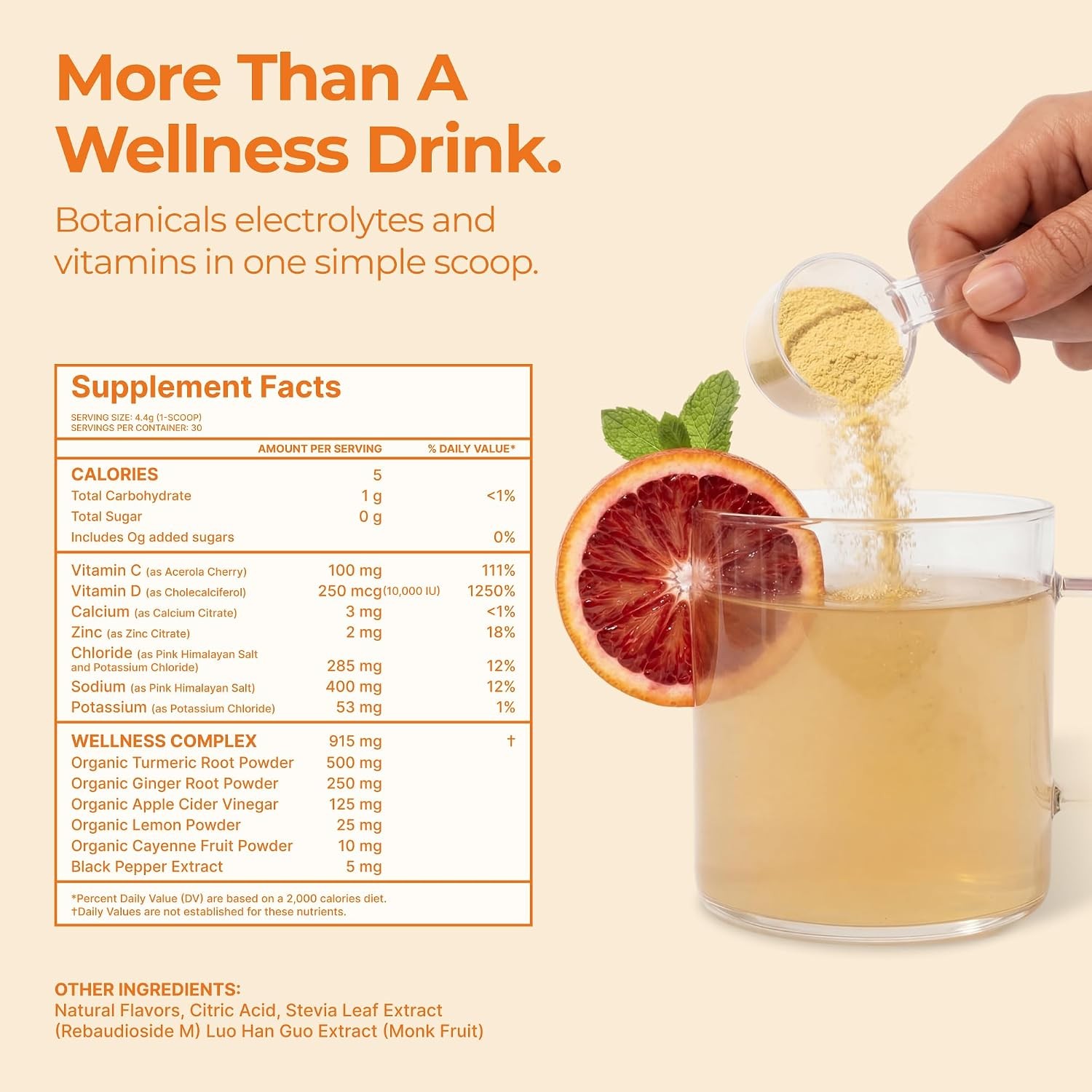 Turmeric Ginger Vitamin C Hydration Wellness Powder Supplement Drink Mix