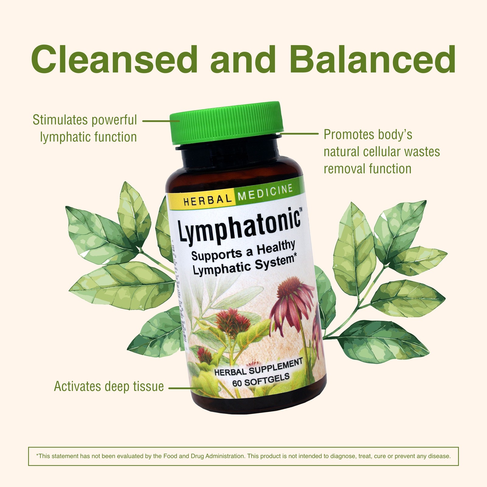 Herbs Etc. Lymphatonic: 60-Count Softgels