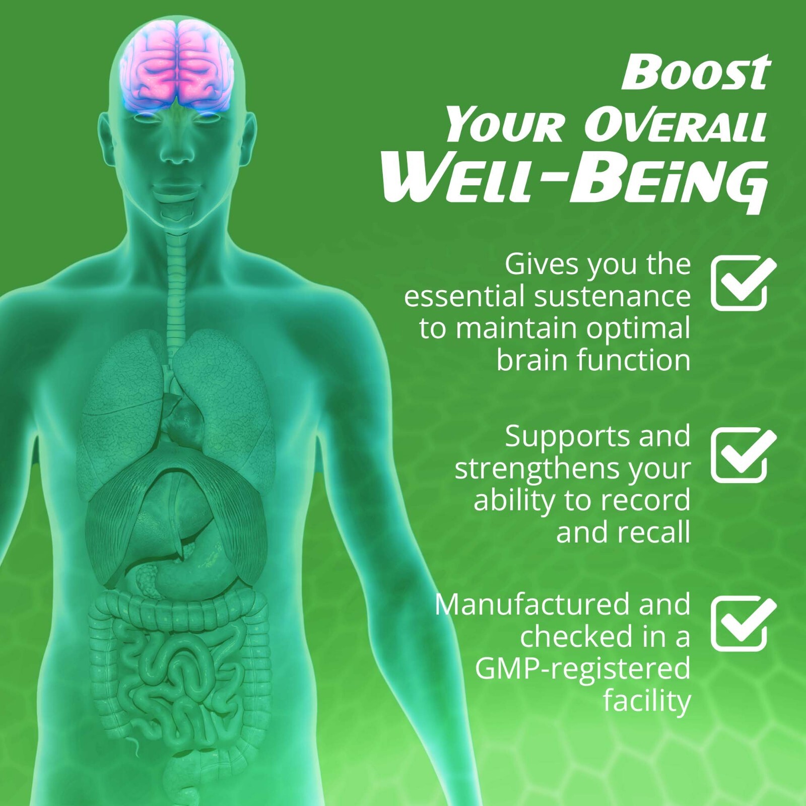 Ginkgo Biloba Brain Support – Natural Supplements for Memory, Focus, and Mental
