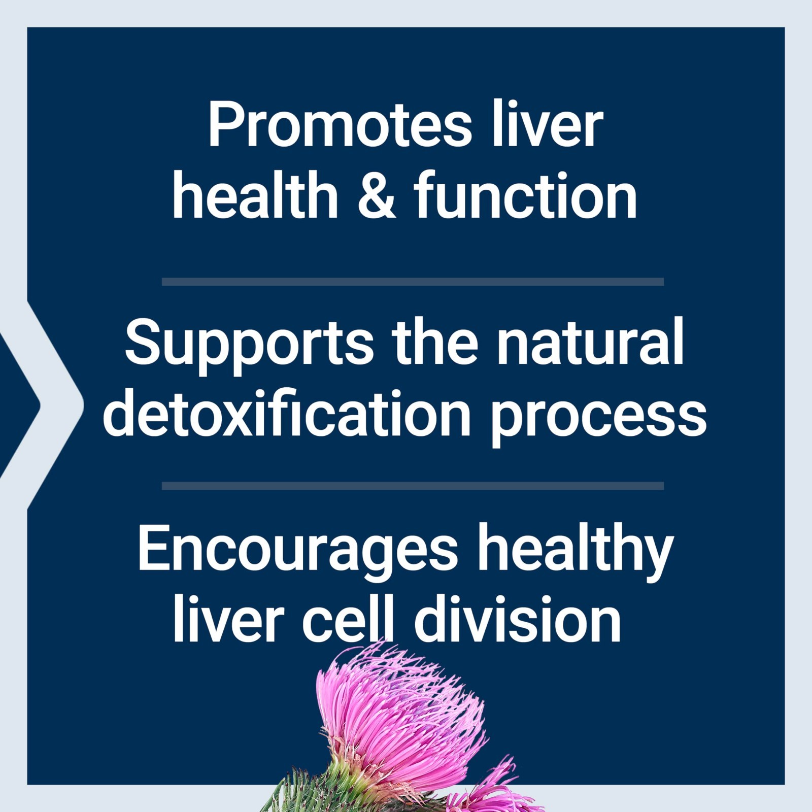 Milk Thistle Extract 60 Softgels – Supports Liver Health, Non-GMO, Gluten-Free,