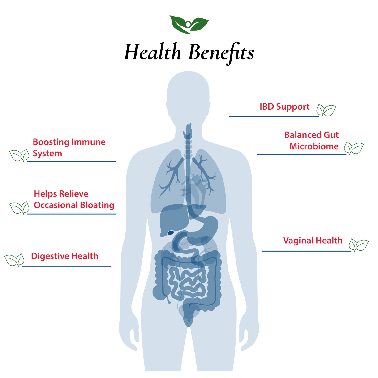 Bacillus Coagulans Probiotic Powder 350B CFU | Bottled in USA | No Additives