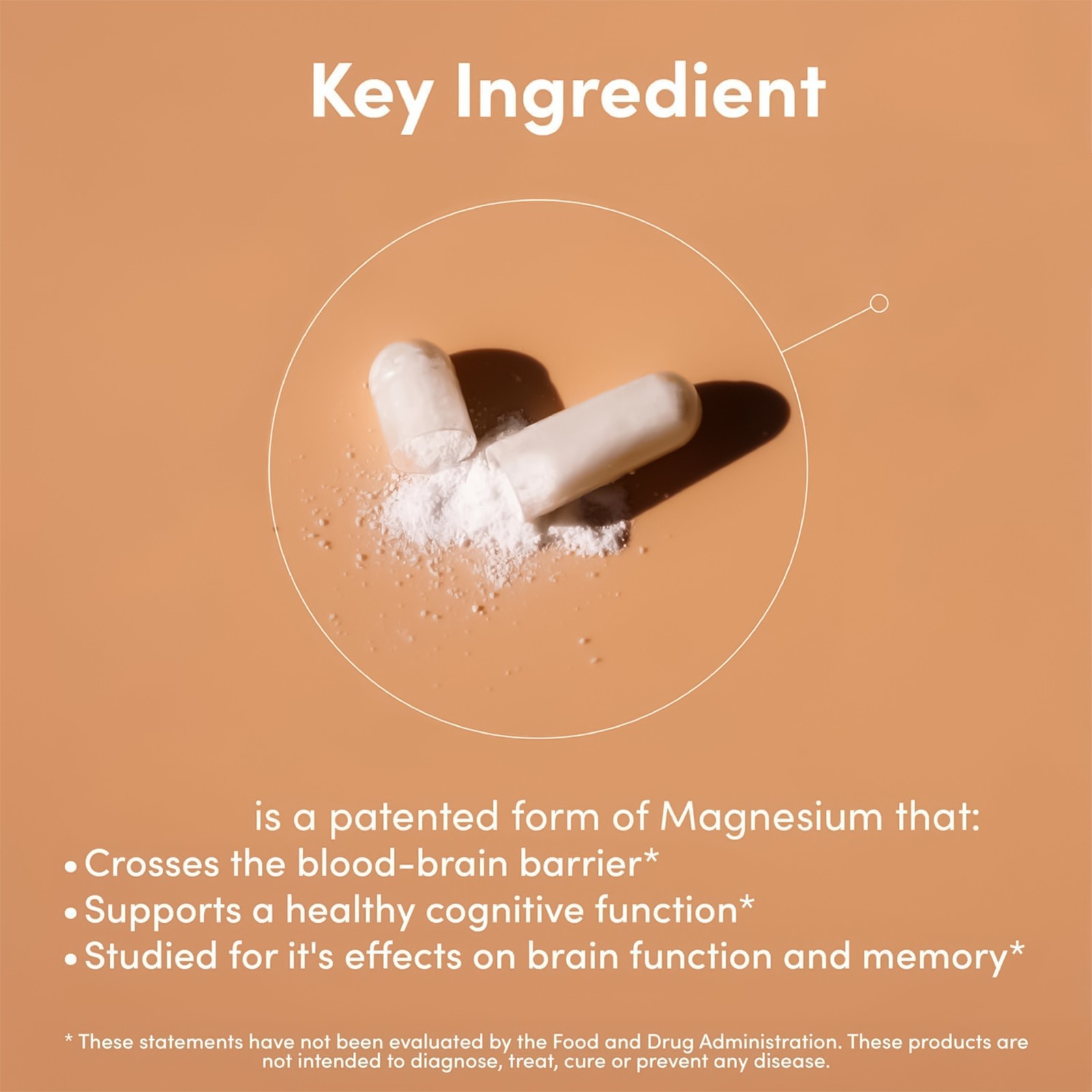 Magtein Magnesium L-Threonate 2000 Mg – High Absorption Supplement 120 Capsules
