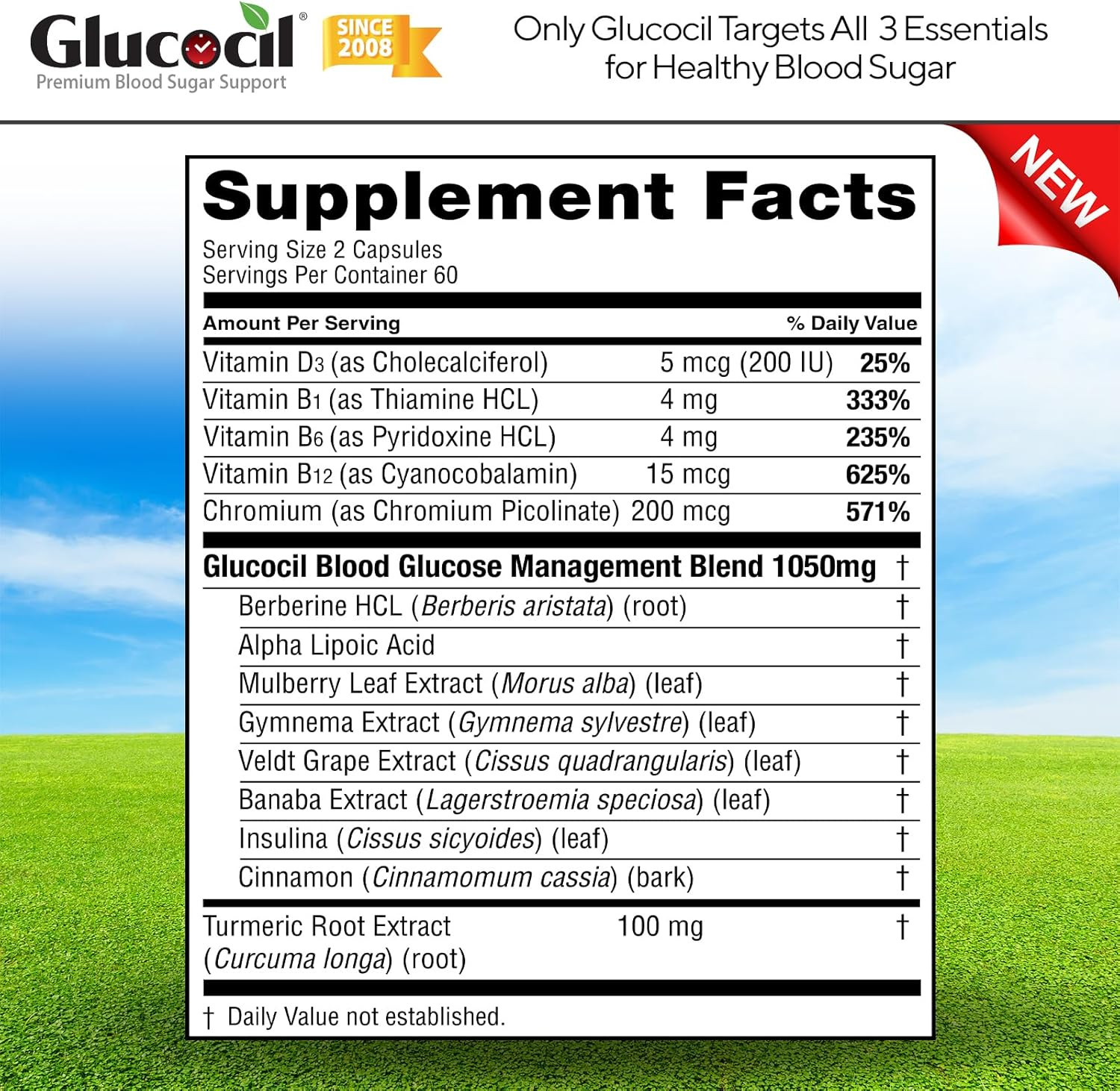 Glucocil – Vegetarian Capsules – Premium Blood Sugar Support – Supports The 3 Es