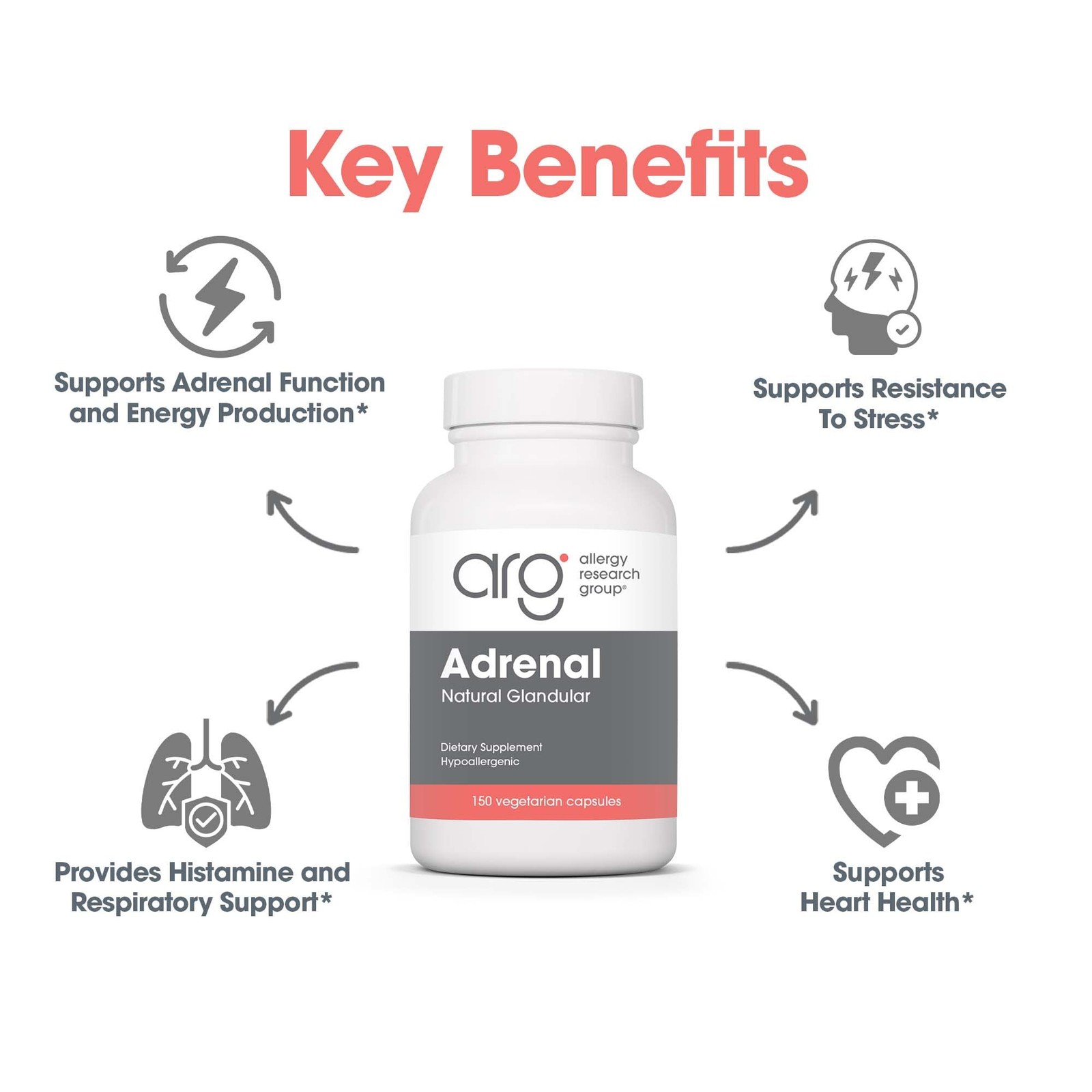 Adrenal Support Supplement for Men & Women – Endocrine Glandular Extract 150
