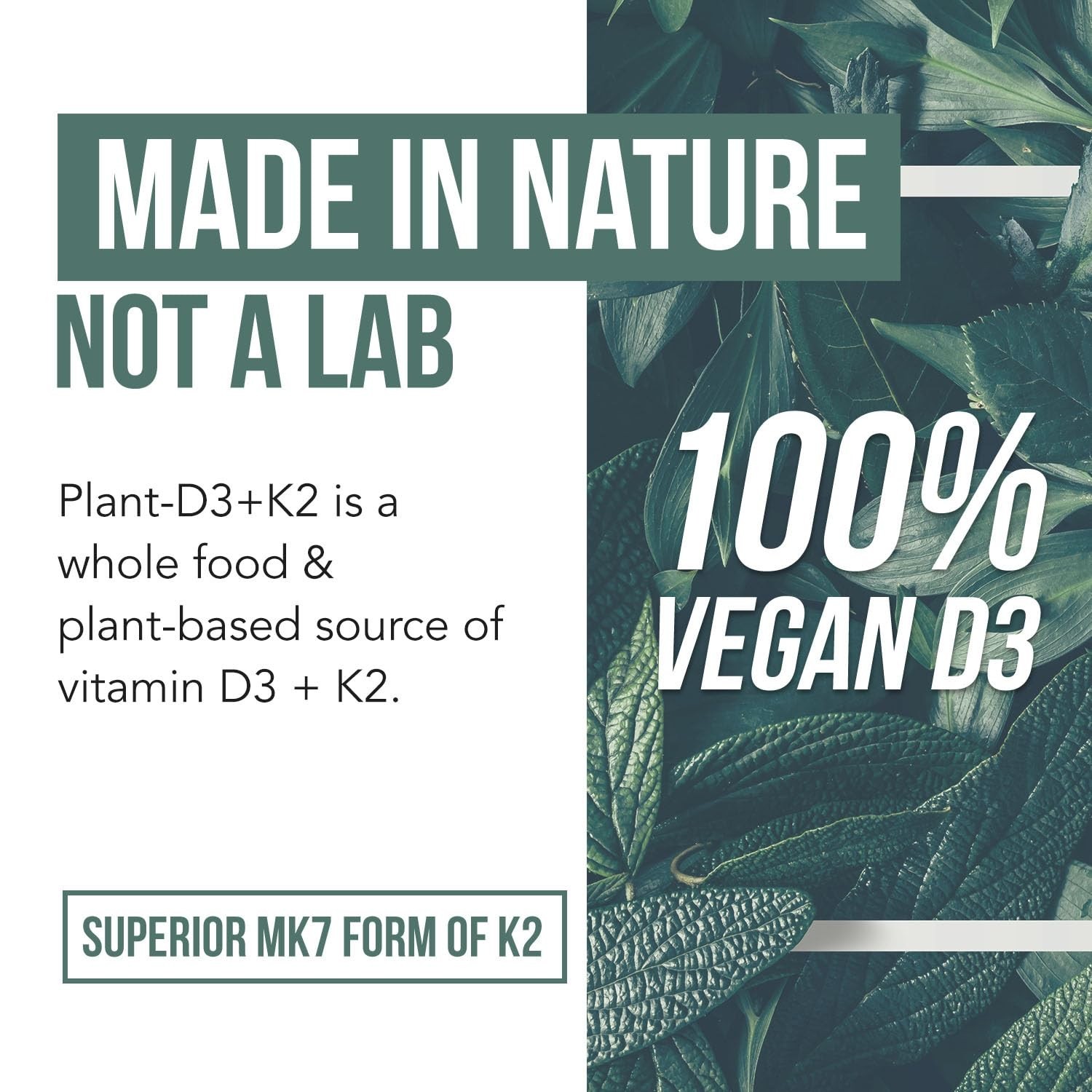 Organic D3 + K2 Supplement | 5000 IU Vitamin D3 & 120 mcg K2 | Vegan, Raw, Whole