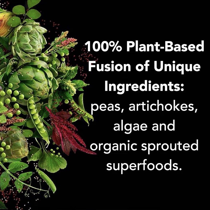 PlantFusion Organic Complete Protein Powder | Vanilla Bean | 2lbs | 30 Servings