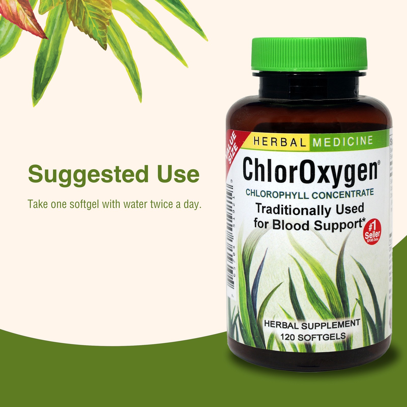 Herbs Etc. ChlorOxygen, Chlorophyll Concentrate Dietary Supplement, 120 Softg…