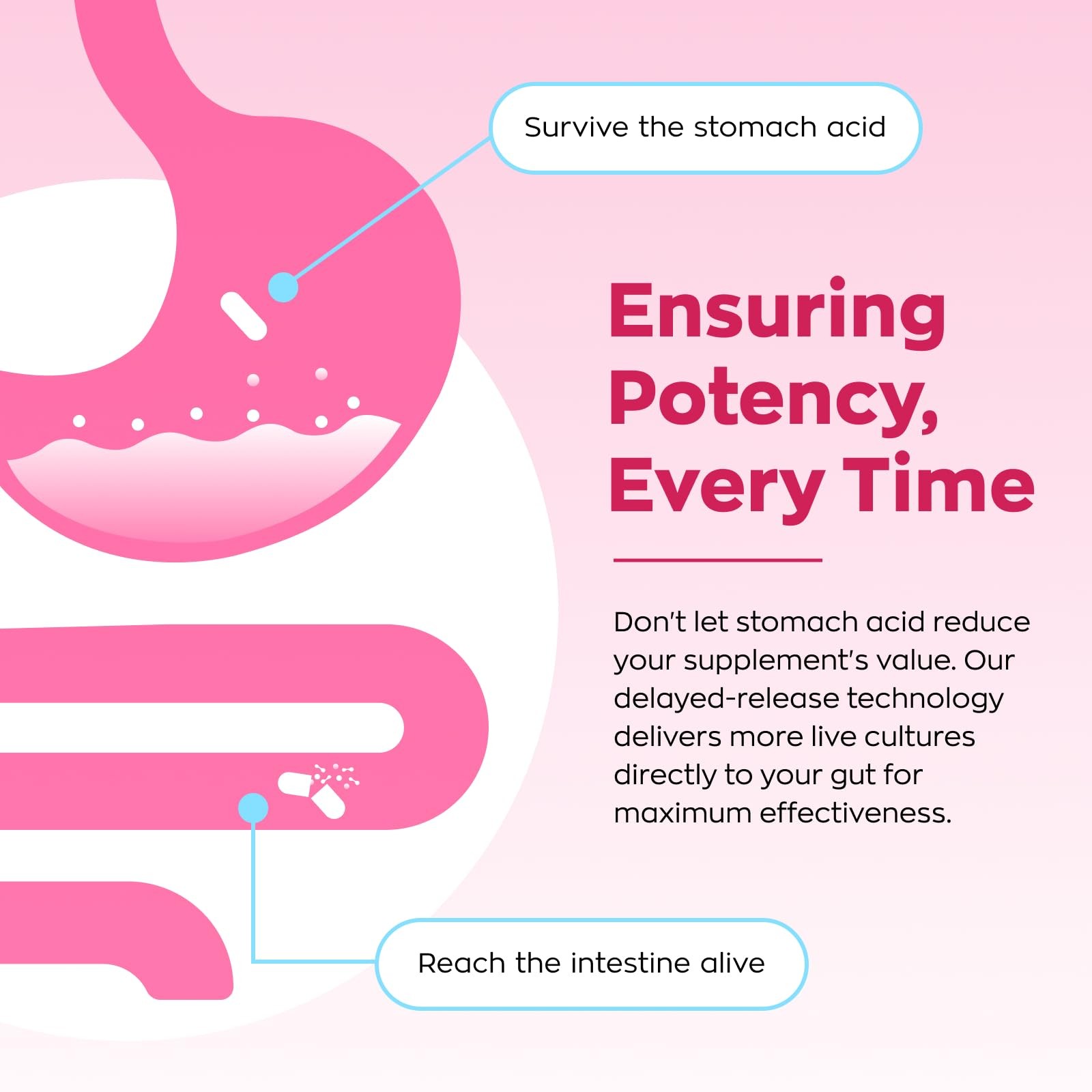Vevoec Gynable Vaginal Probiotics for Women Odor & Itch Support, pH Balance