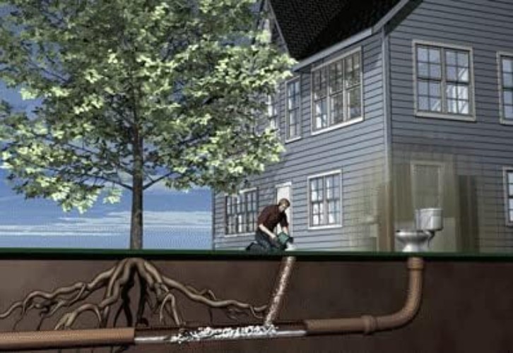 Root Control Solution for Septic Systems – 4 lb Jar, 100′ Coverage
