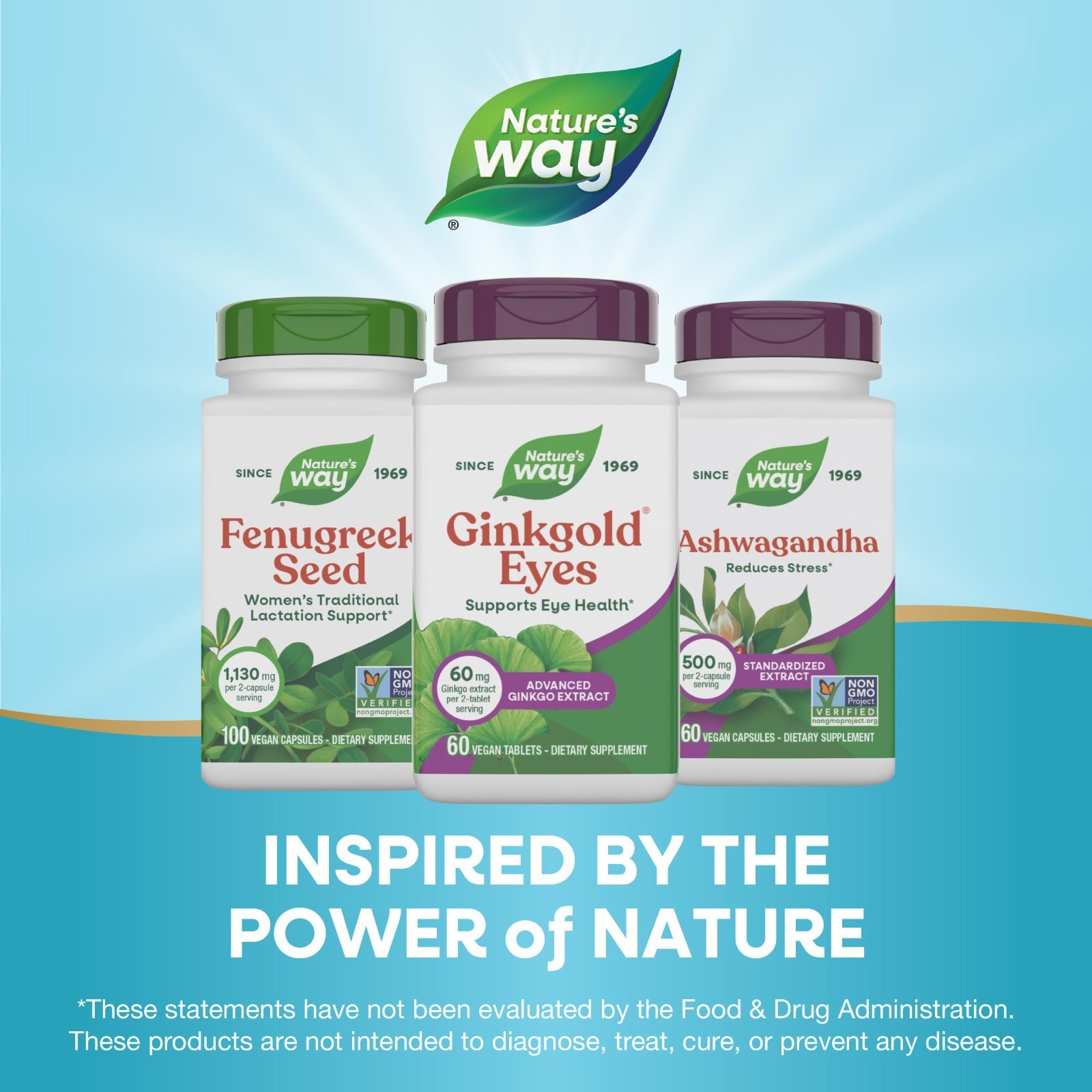 Ginkgo Biloba Eye Health Supplements – 60mg, Gluten-Free, 60 Tablets, Supports V