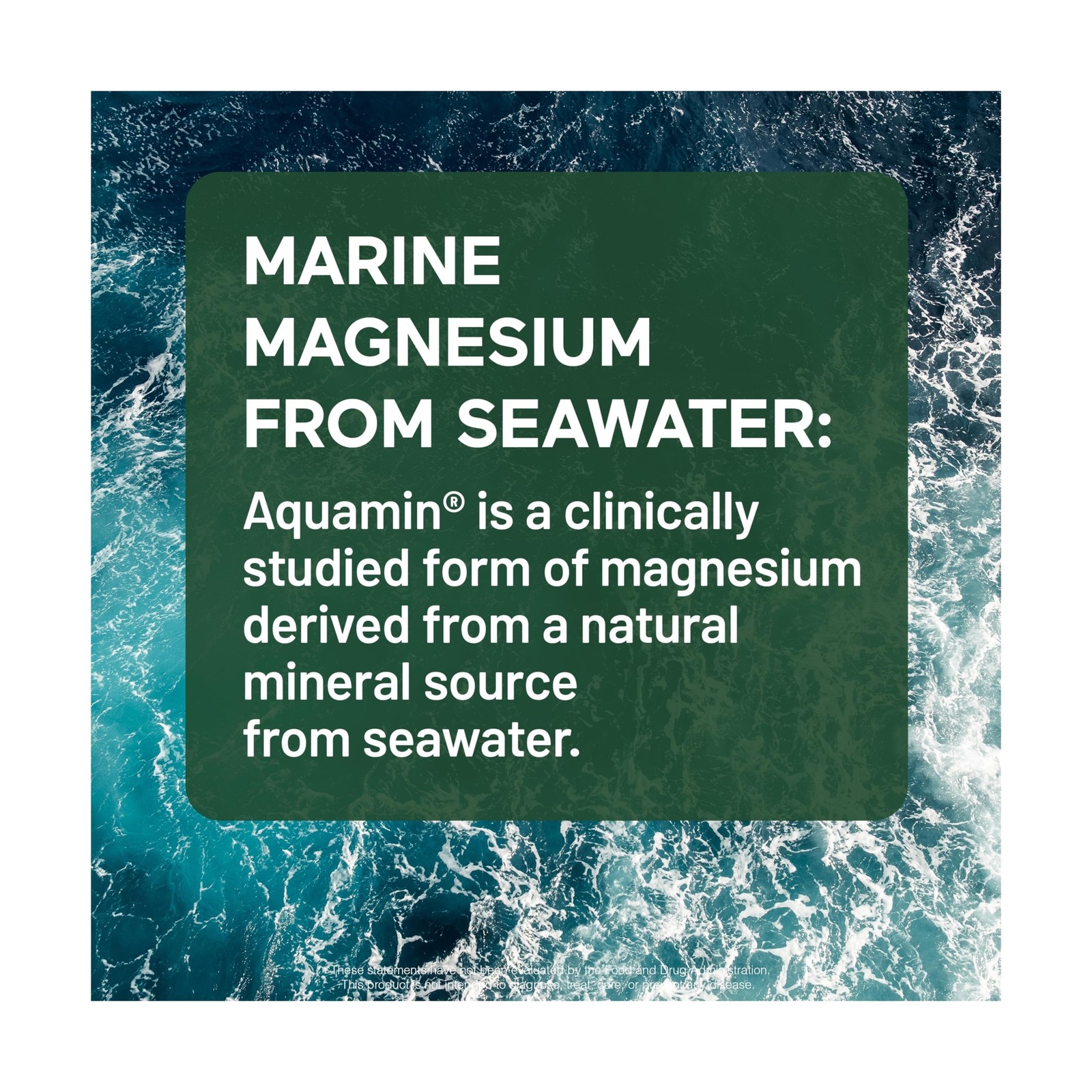 Smarter Nutrition Magnesium Complex – Chelated Magnesium Glycin… FAST USA SHIP